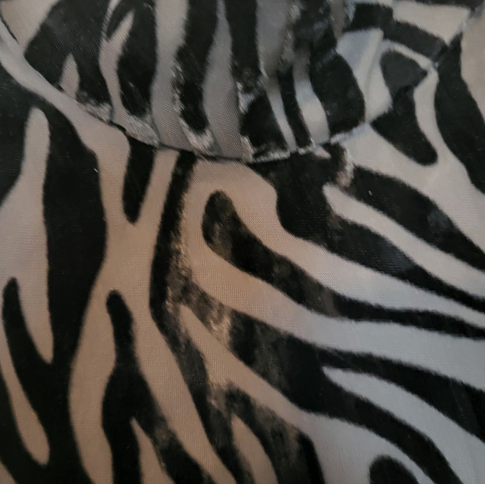 Zebra Print Long Sleeve Dress - Picture 3 of 9
